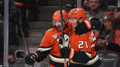 情况引起了 情况引起了