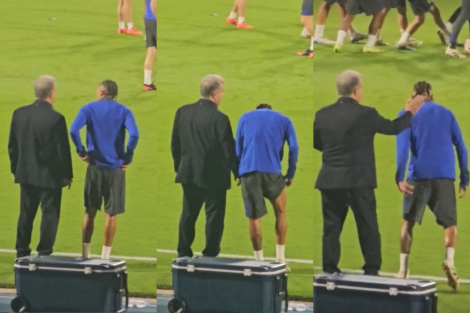 种全新的踢 种全新的踢